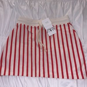 Zara Skirt